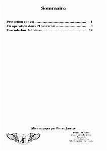 PILOTE AU PA 9e-DI PAR PIERRE BERNIER (3)